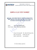 Tài liệu Luận văn:Giải pháp hoàn thiện Marketing Mix nhằm tăng doanh thu của công ty bánh kẹo Phạm Nguyên pot