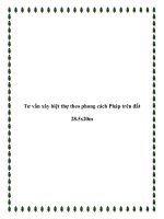 Tài liệu Tư vấn xây biệt thự theo phong cách Pháp trên đất 28.5x20m pptx