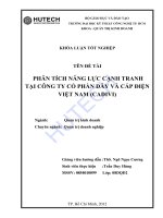 Tài liệu Luận văn:Phân tích năng lực cạnh tranh tại công ty cổ phần dây và cáp điện Việt Nam (CADIVI) pptx