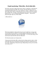 Tài liệu Email marketing: Thấu hiểu, vẫn là thấu hiểu pdf