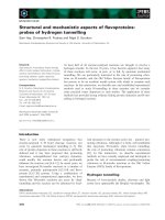 Tài liệu Báo cáo khoa học: Structural and mechanistic aspects of ﬂavoproteins: probes of hydrogen tunnelling pptx