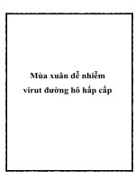 Tài liệu Mùa xuân dễ nhiễm virut đường hô hấp cấp pptx