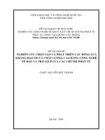 Tài liệu Nghiên cứu chọn tạo và phát triển các dòng lúa kháng đạo ôn và chất lượng cao bằng công nghệ tế bào và trợ giúp của các chỉ thị phân tử ppt