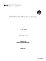 Tài liệu PROJECT MANAGEMENT PROCESSES AND PRACTICES: Audit Report pptx