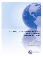 Tài liệu ITU Study on the Financial Aspects of Network Security: Malware and Spam doc