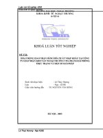 Tài liệu Luận văn 