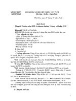 Tài liệu Báo cao 09 thang 2012 potx