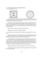 chương 8 kết cấu bê tông cốt thép