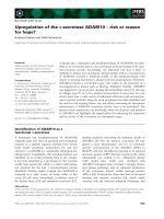 Tài liệu Báo cáo khoa học: Upregulation of the a-secretase ADAM10 – risk or reason for hope? docx