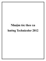 Tài liệu Nhuộm tóc theo xu hướng Technicolor 2012 pdf