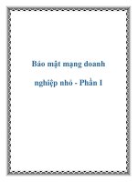 Tài liệu Bảo mật mạng doanh nghiệp nhỏ - Phần I pptx