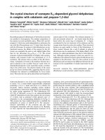 Tài liệu Báo cáo khoa học: The crystal structure of coenzyme B12-dependent glycerol dehydratase in complex with cobalamin and propane-1,2-diol pptx