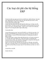 Tài liệu Các loại chi phí cho hệ thống ERP ppt
