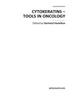 Tài liệu Cytokeratins – Tools in Oncology Edited by Gerhard Hamilton pdf