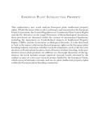 Tài liệu EUROPEAN PLANT INTELLECTUAL PROPERTY docx