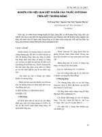 Tài liệu Nghiên cứu hiệu quả diệt khuẩn của thuốc Chitosan trên bết thương bỏng pptx