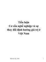 Tài liệu Tiểu luận Cơ cấu nghề nghiệp và sự thay đổi định hướng giá trị ở Việt Nam potx
