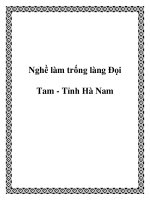 Tài liệu Nghề làm trống làng Ðọi Tam - Tỉnh Hà Nam doc