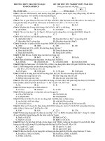 Tài liệu Đề Thi Tốt Nghiệp Hóa 2013 - Phần 3 - Đề 17 docx