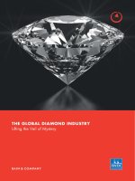 Tài liệu THE GLOBAL DIAMOND INDUSTRY Lifting the Veil of Mystery pdf