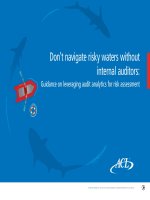 Tài liệu Don’t navigate risky waters without internal auditors: Guidance on leveraging audit analytics for risk assessment pptx