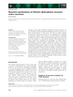 Tài liệu Báo cáo khoa học: Reaction mechanisms of thiamin diphosphate enzymes: redox reactions pdf