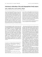 Tài liệu Báo cáo khoa học: Evolutionary relationships of the prolyl oligopeptidase family enzymes docx