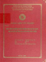 Hoạt động nhượng quyền thương mại tại Việt Nam - Thực trạng và giải pháp