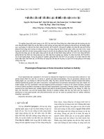 Tài liệu PHẢN ỨNG CỦA MỘT SỐ GIỐNG LẠC VỚI ĐIỀU KIỆN MẶN NHÂN TẠO pot