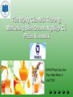 Tác Động Của Môi Trường Marketing Đến Doanh Nghiệp Cổ Phần Vinamilk