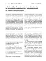 Tài liệu Báo cáo khoa học: A kinetic model of the branch-point between the methionine and threonine biosynthesis pathways in Arabidopsis thaliana doc