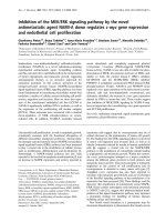 Tài liệu Báo cáo Y học: Inhibition of the MEK/ERK signaling pathway by the novel antimetastatic agent NAMI-A down regulates c-myc gene expression and endothelial cell proliferation ppt
