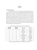 Nâng cao năng lực cạnh tranh các doanh nghiệp phần mềm Việt Nam