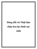 Tài liệu Dùng đất sét Nhật làm chậu hoa lục bình cực xinh pot