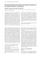 Tài liệu Báo cáo Y học: Structural determinants of the half-life and cleavage site preference in the autolytic inactivation of chymotrypsin pdf