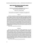 Tài liệu Báo cáo 