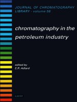 Tài liệu Chromatography in the petroleum industry docx