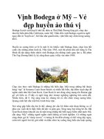 Tài liệu Vịnh Bodega ở Mỹ – Vẻ đẹp huyền ảo thú vị ppt