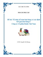 Tổ chức kế toán bán hàng và xác định kết quả bán hàng ở Công ty Cổ phần Rodis Việt Nam
