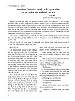 Tài liệu Nghiên cứu phẫu thuật cắt dịch kính trong viêm nội nhãn ở trẻ em pot