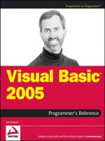 Tài liệu Visual Basic 2005 Programmer''''s Reference pptx