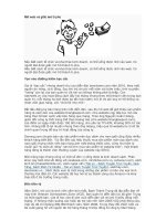 Tài liệu Mở web và giấc mơ tỉ phú ppt