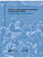 Tài liệu Mental health aspects of women’s reproductive health pptx