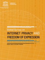 Tài liệu GLOBAL SURVEY ON INTERNET PRIVACY AND FREEDOM OF EXPRESSION docx