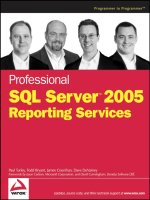 Tài liệu Professional SQL Server™ 2005 Reporting Services ppt