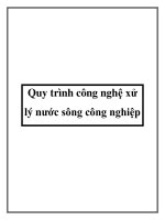 Tài liệu Quy trình công nghệ xử lý nước sông công nghiệp pot
