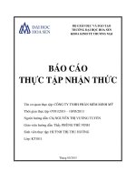 báo cáo thực tập nhận thức công ty tnhh phần mềm minh mỹ