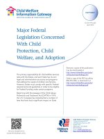 Tài liệu Major Federal Legislation Concerned With Child Protection, Child Welfare, and Adoption pdf