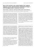 Tài liệu Báo cáo khoa học: Role of K22 and R120 in the covalent binding of the antibiotic fosfomycin and the substrate-induced conformational change in UDP-N-acetylglucosamine enol pyruvyl transferase docx