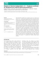 Tài liệu Báo cáo khoa học: Kinetics of dextran-independent a-(1 ﬁ 3)-glucan synthesis by Streptococcus sobrinus glucosyltransferase I pdf